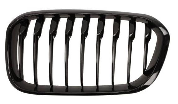 Articolo Q6Y3F - GRIGLIA A/SX NERA LUCIDA BMW SERIE 1 F20-F21 03/15>